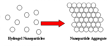 hydrogel-nanoparticle.gif
